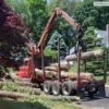 Residential and Commercial Tree service Middletown, CT