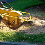 Stump Grinding service in Durham CT