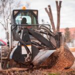 Stump Grinding service in Clinton CT