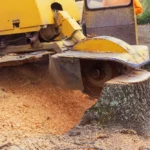 Stump Grinding in Middletown CT