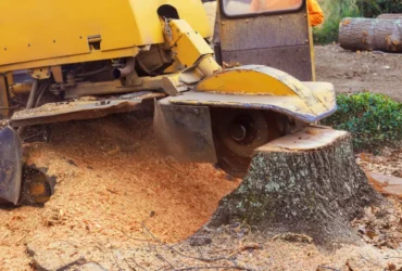Stump Grinding in Middletown CT