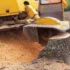 Stump Grinding in Middletown CT