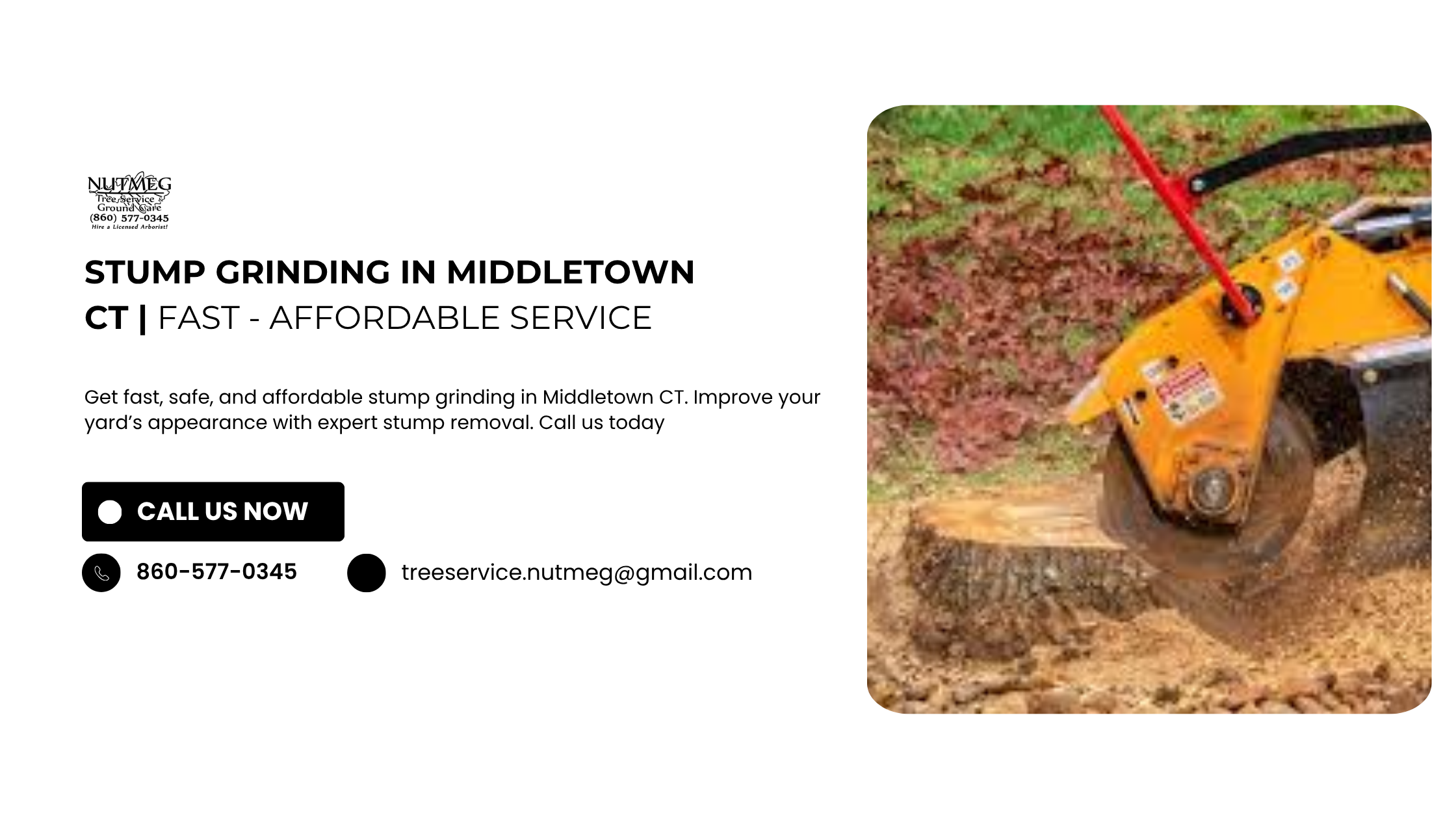 Stump Grinding in Middletown CT service Fast - Learn More