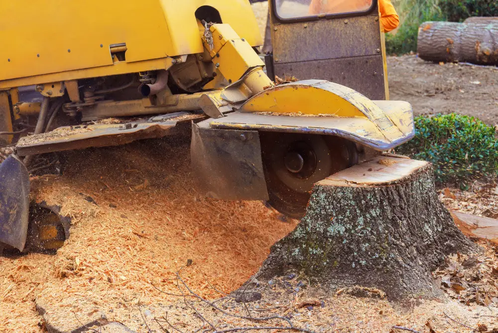 Stump Grinding in Middletown CT