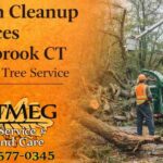 Storm Cleanup Services Westbrook CT | Nutmeg Tree Service