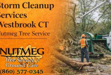Storm Cleanup Services Westbrook CT | Nutmeg Tree Service