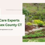 Tree Care Experts Middlesex County CT