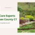 Tree Care Experts Middlesex County CT