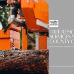 Tree Removal Services Middlesex County CT