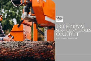 Tree Removal Services Middlesex County CT