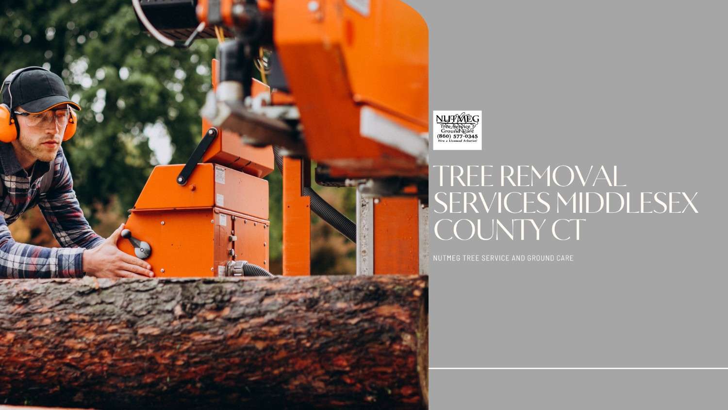 Tree Removal Services Middlesex County CT