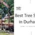 Best Tree Services in Durham CT