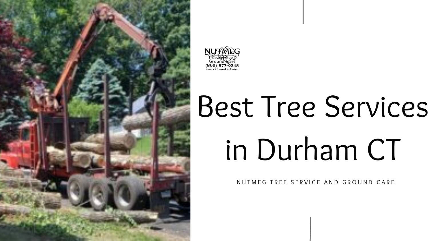 Best Tree Services in Durham CT