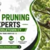 Tree Pruning Experts in Middletown CT | Nutmeg Tree Service