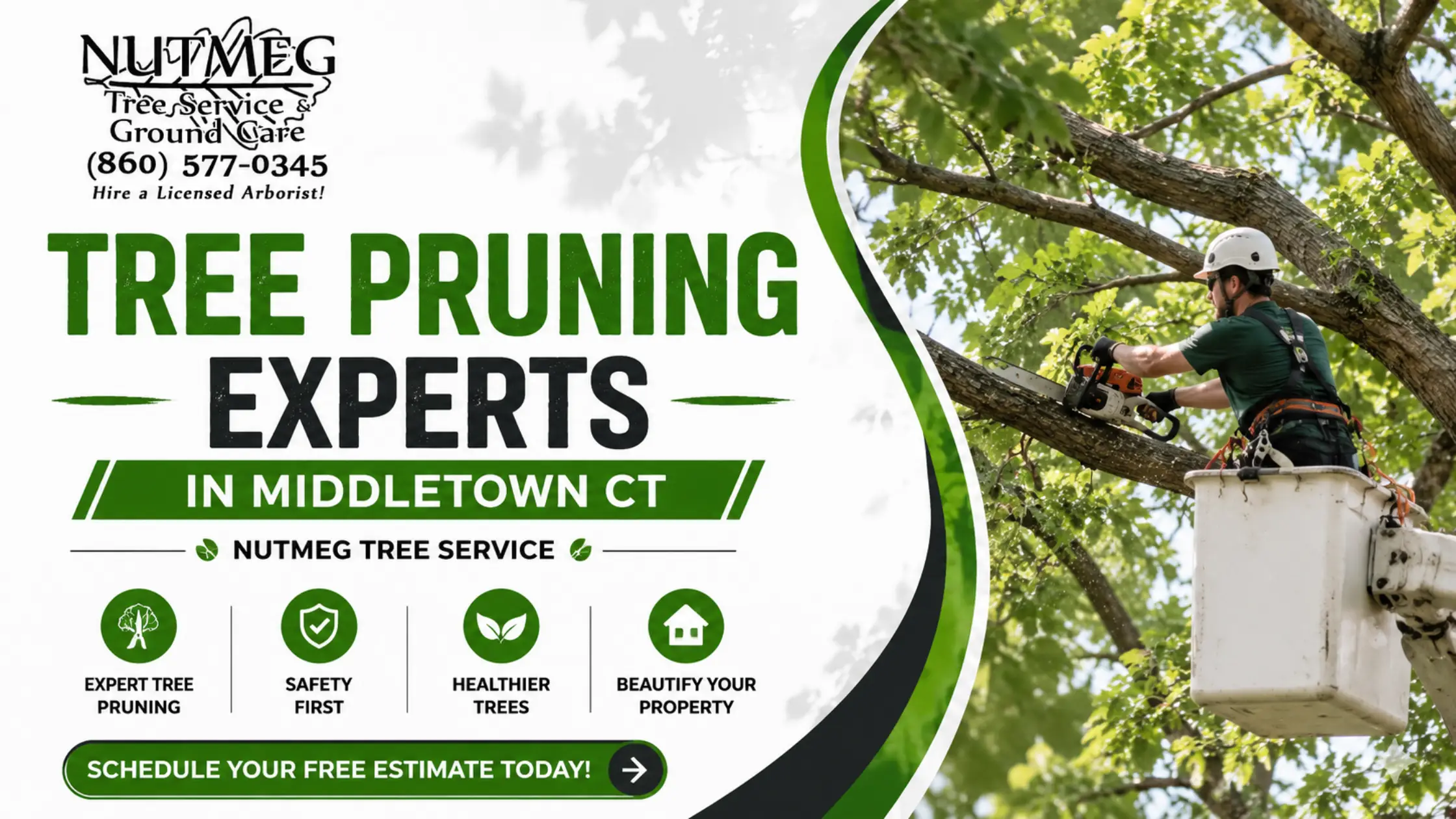 Tree Pruning Experts in Middletown CT | Nutmeg Tree Service