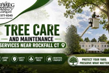 Tree Care and Maintenance Services Near Rockfall CT