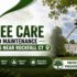 Tree Care and Maintenance Services Near Rockfall CT